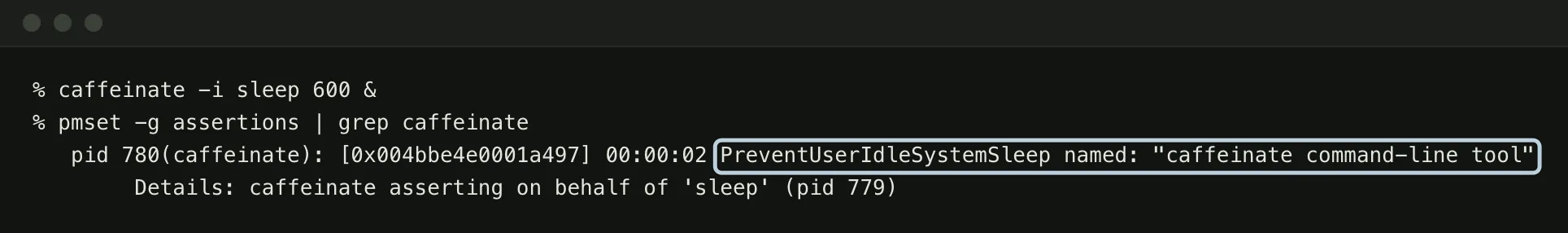 A terminal runs caffeinate -i sleep 600 in the background, then pmset -g assertions filtered to caffeinate, which shows a PreventUserIdleSystemSleep assertion named caffeinate command-line tool, held on behalf of sleep. A blue box marks the assertion type and name.