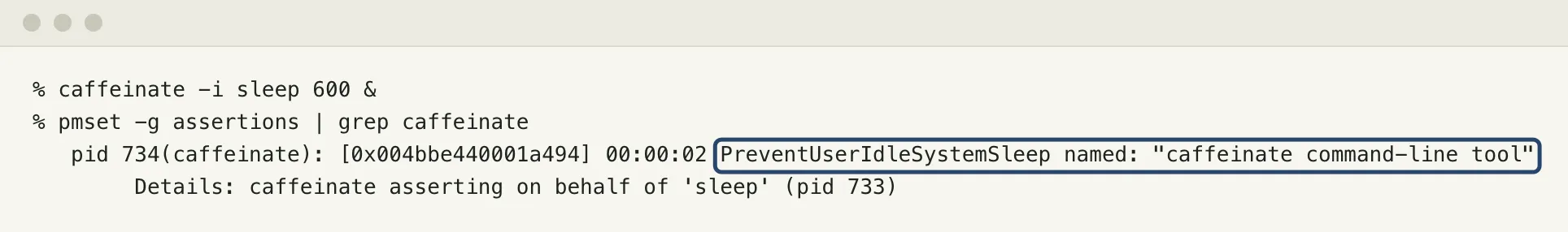 A terminal runs caffeinate -i sleep 600 in the background, then pmset -g assertions filtered to caffeinate, which shows a PreventUserIdleSystemSleep assertion named caffeinate command-line tool, held on behalf of sleep. A blue box marks the assertion type and name.